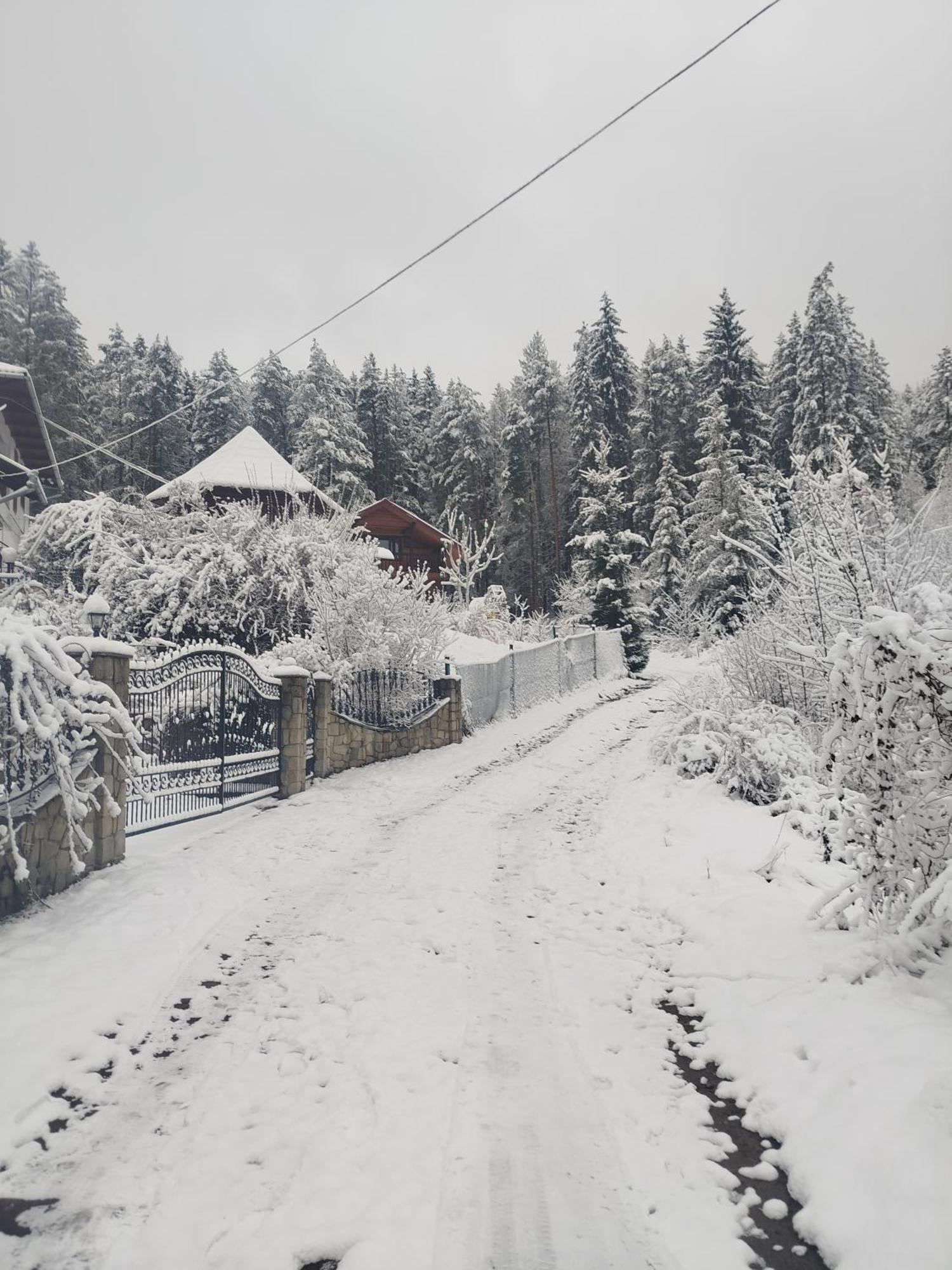 Лісова Казка Villa Yaremche Exterior photo